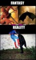 /album/zabavne-obrazky/funny-batman-and-spiderman-jpg/